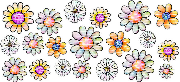 16oz Element-EN-1299